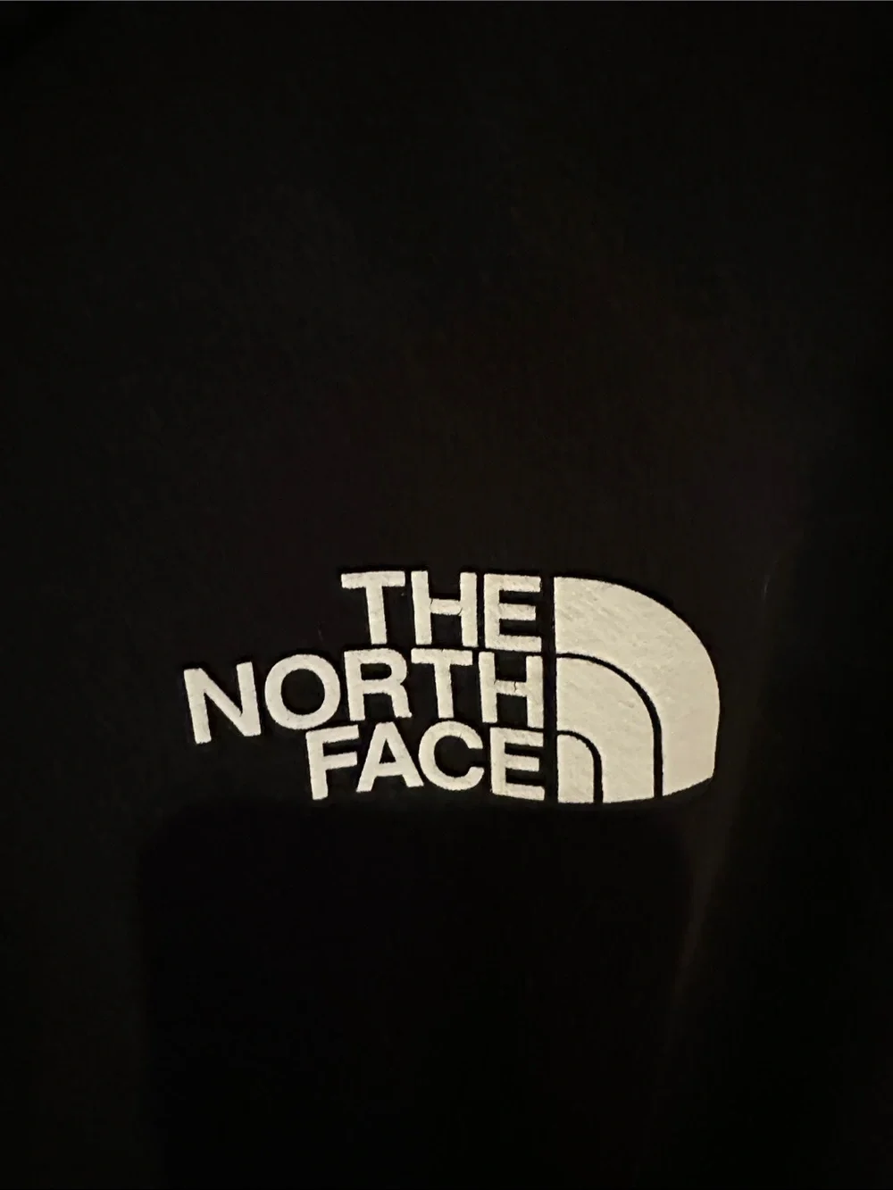 The North Face Black Pullover Hoodie with White Logo Square
